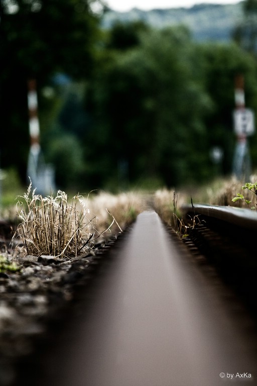 Neulich im Zug nach nirgendwo