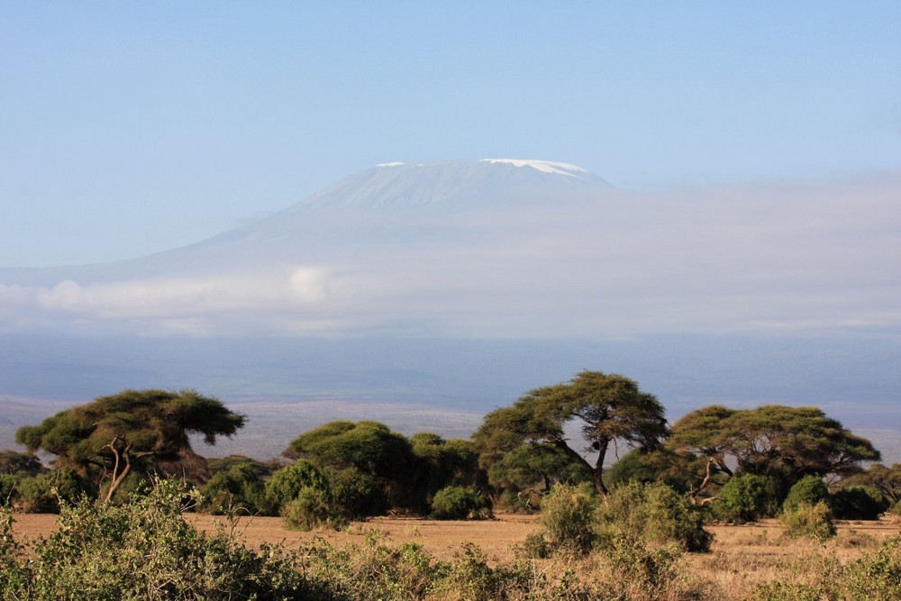 Neulich in Afrika-Kilimanjaro