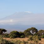 Neulich in Afrika-Kilimanjaro