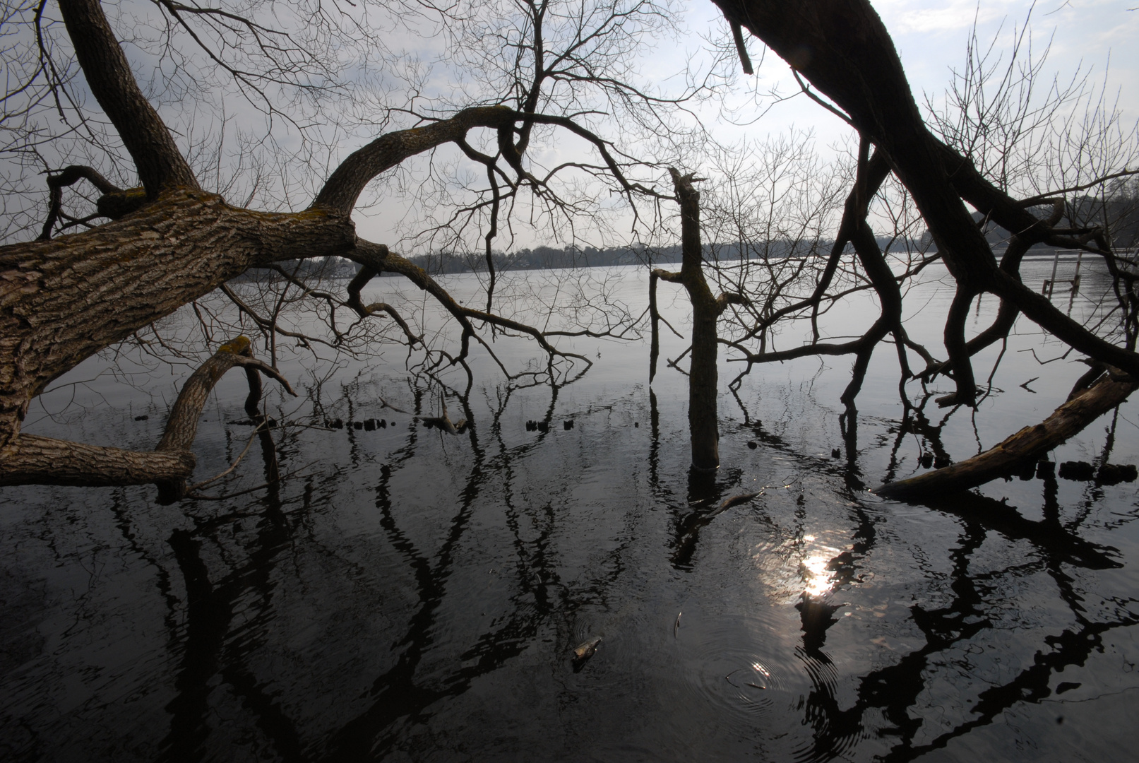 Neulich in Berlin I Morgens an der Havel