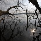 Neulich in Berlin I Morgens an der Havel