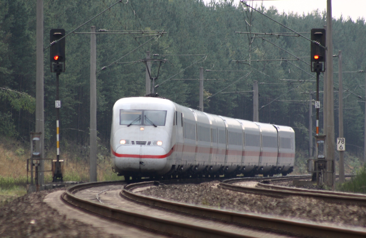 Neulich in der Lüneburger Heide II