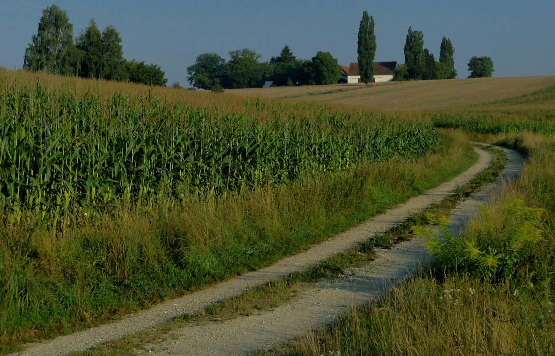 Neulich in der Toskana