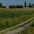 Neulich in der Toskana