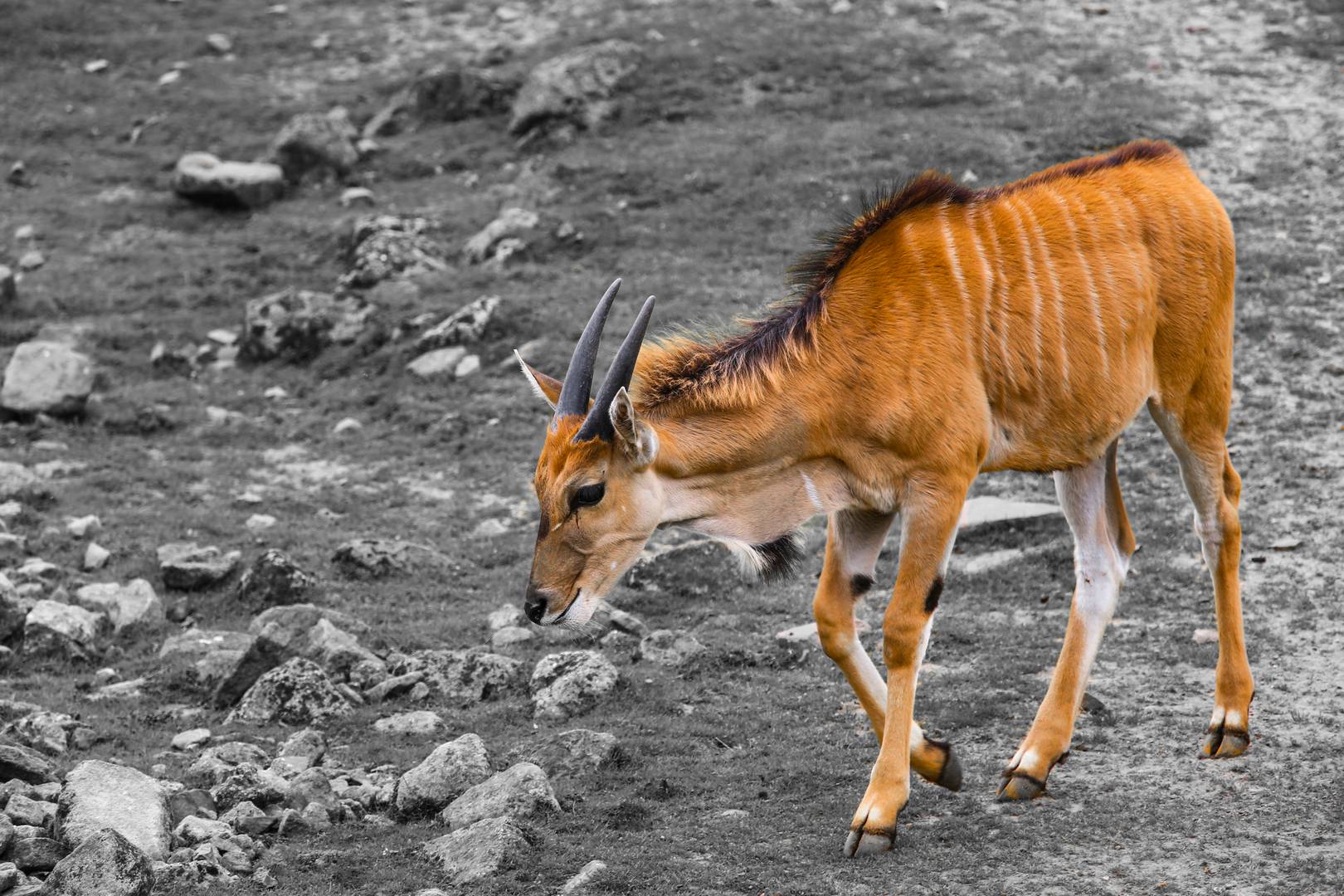 neulich in der Zoom Erlebniswelt - 01