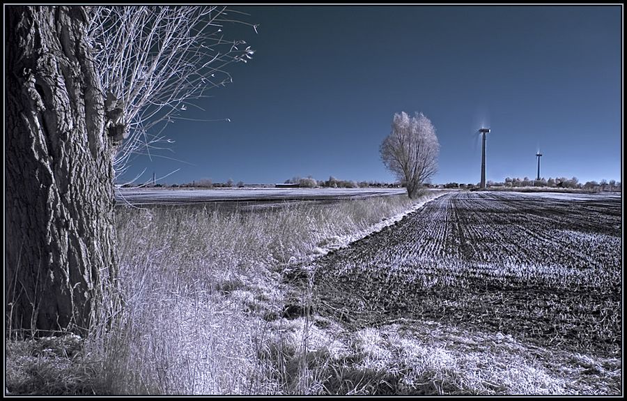 Neulich in Friesland ...