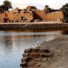 neulich in karnak traf ich den reiher an , der im heiligen see gefischt hat