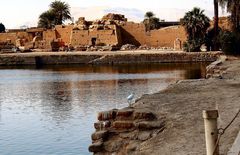 neulich in karnak traf ich den reiher an , der im heiligen see gefischt hat