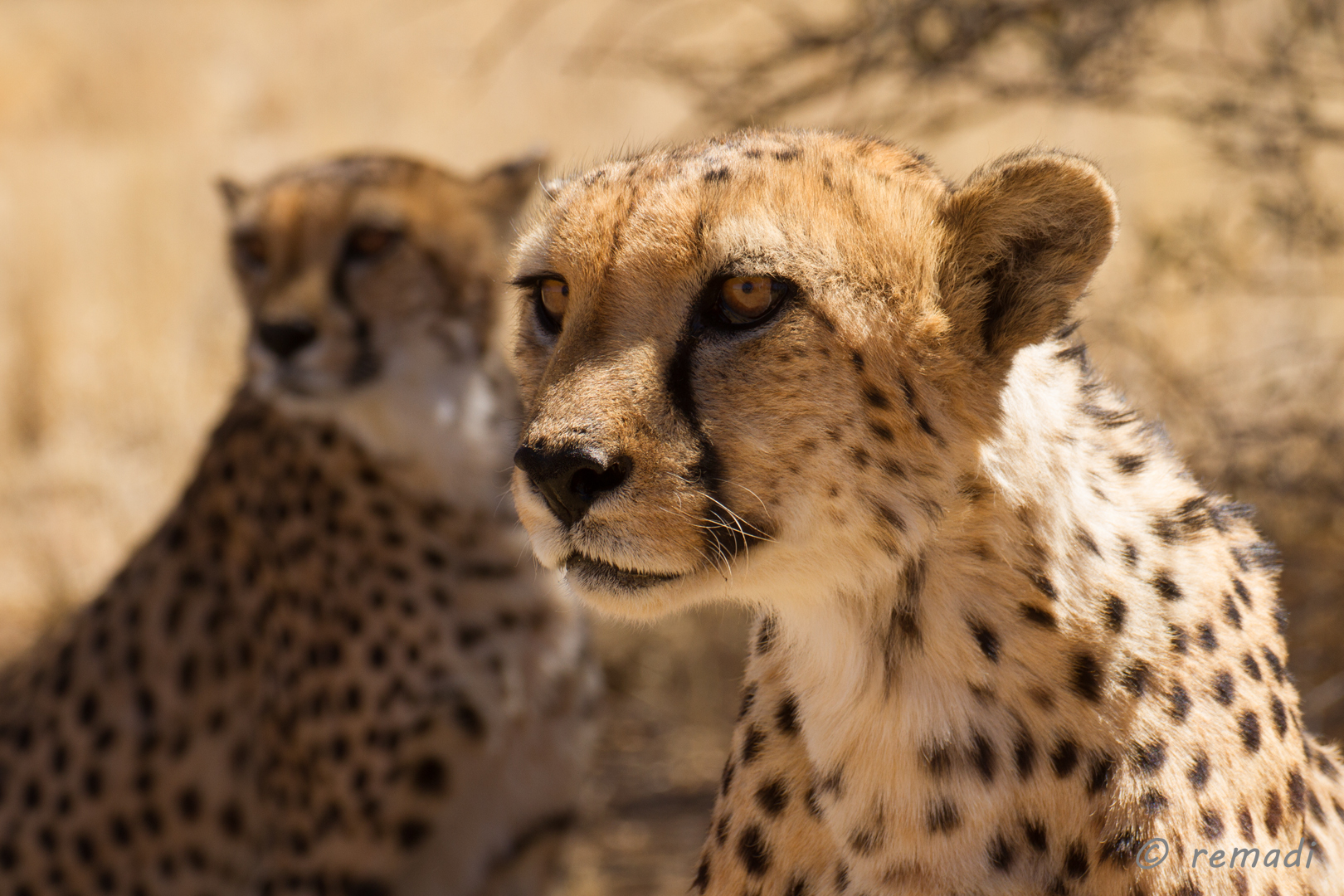 neulich in Namibia