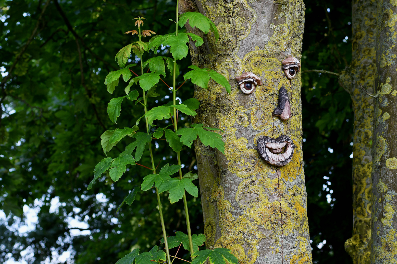 Neulich in Pilsum / Ostfriesland