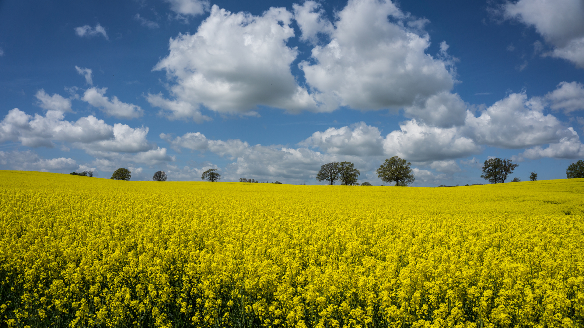 Neulich in Scharbeutz