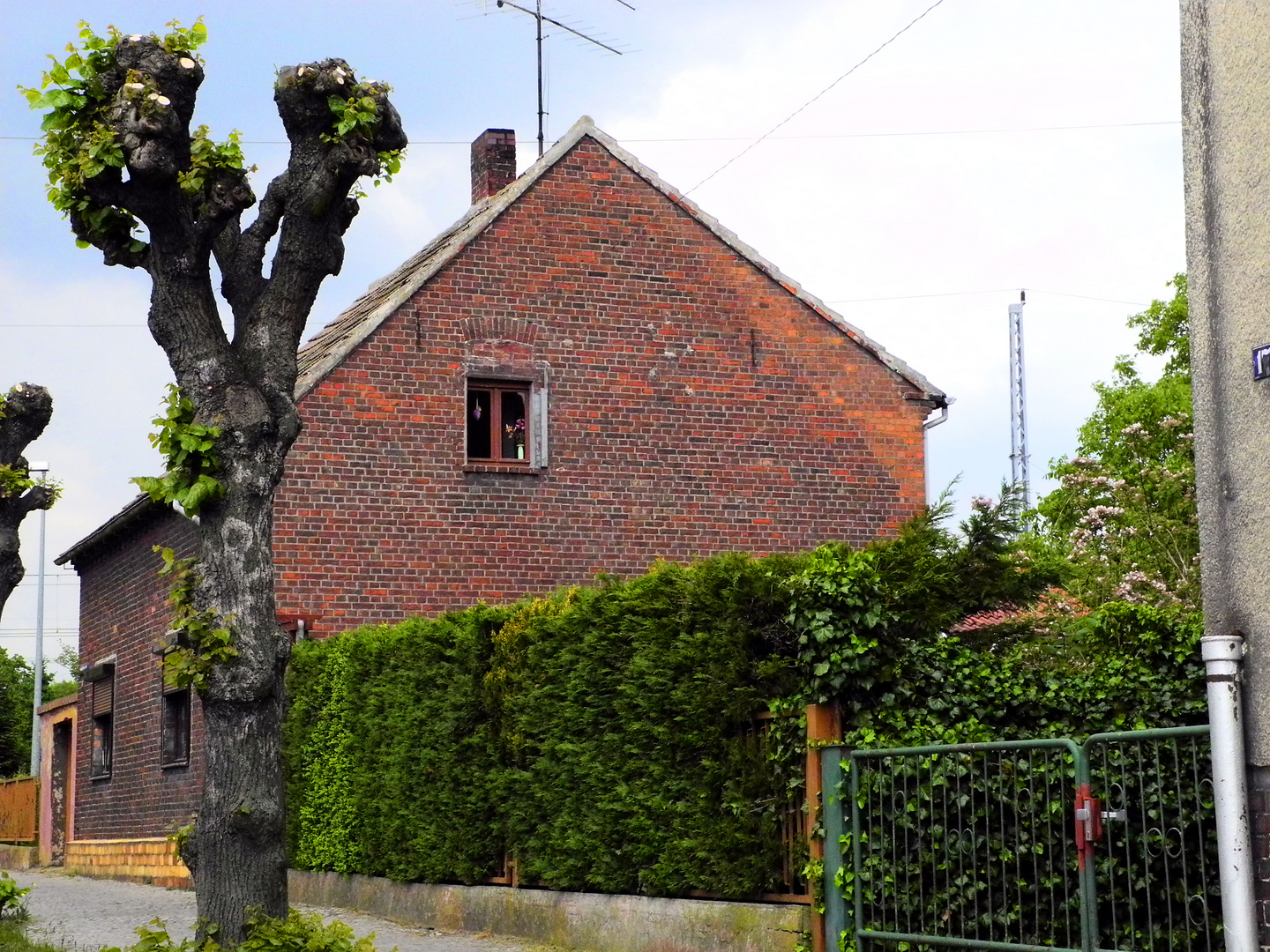 neulich in Wittenberg 2 Foto & Bild architektur, stadtlandschaft, historisches Bilder auf