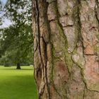 Neulich m Schlosspark Münster