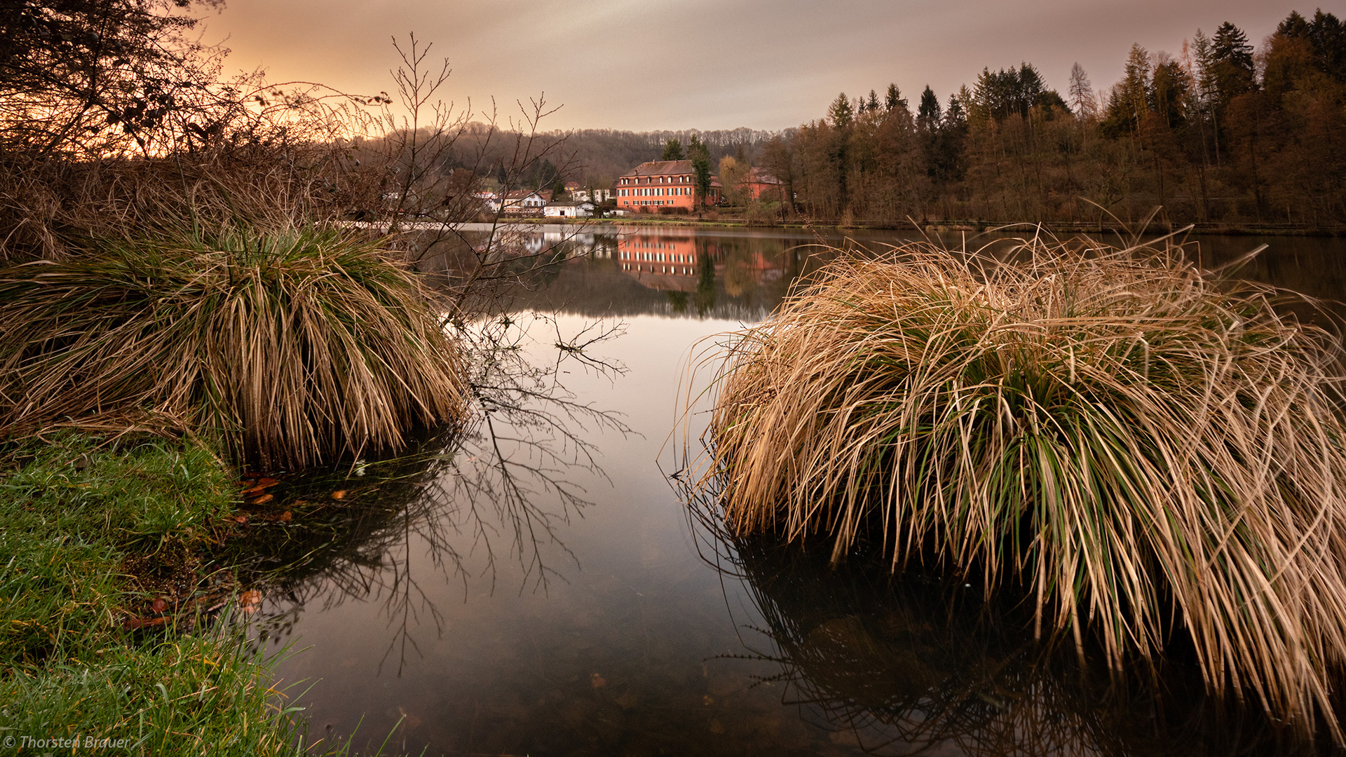 Neulich morgens am See