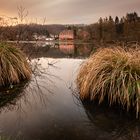 Neulich morgens am See