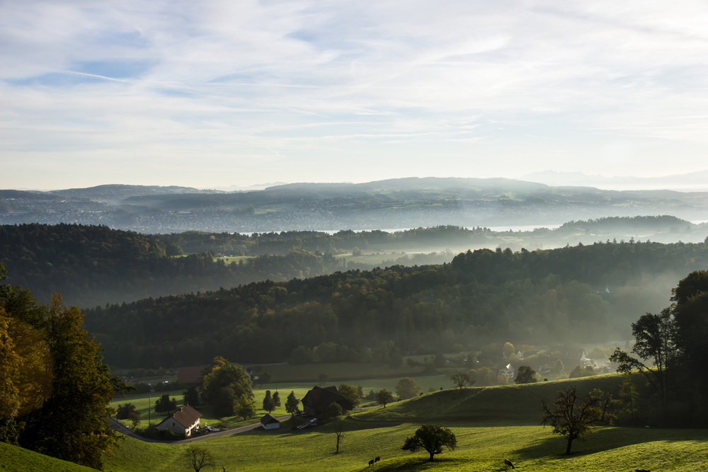 neulich morgens auf dem Buchenegg