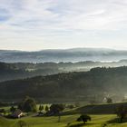 neulich morgens auf dem Buchenegg