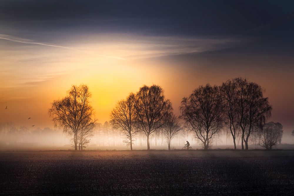 Neulich morgens im Nebel