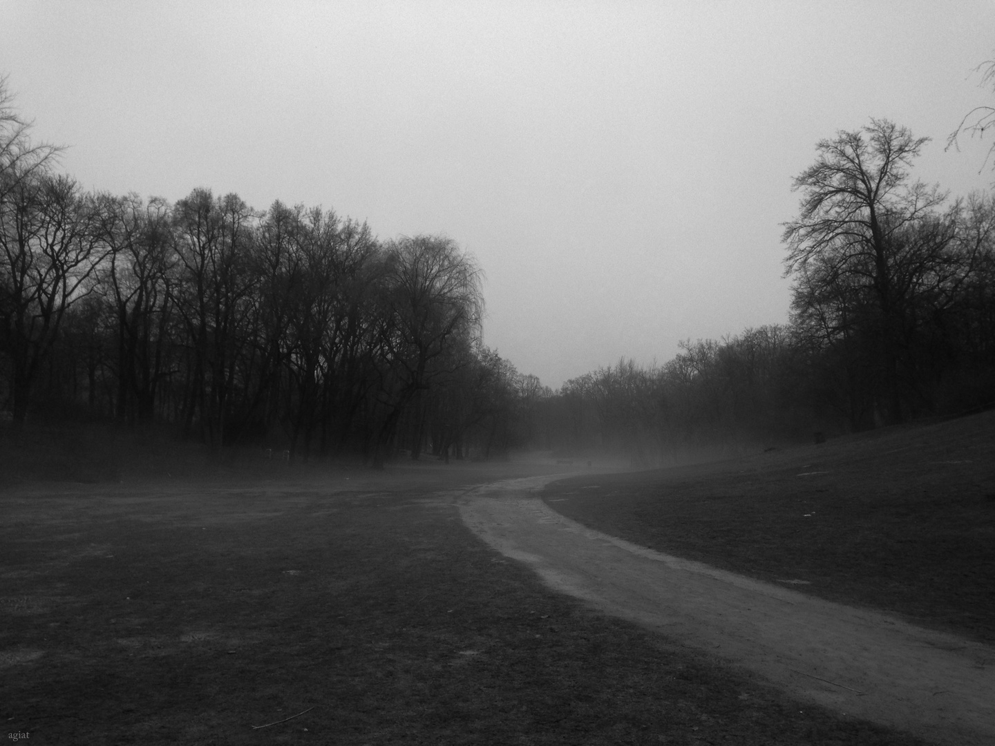 neulich morgens im volkspark