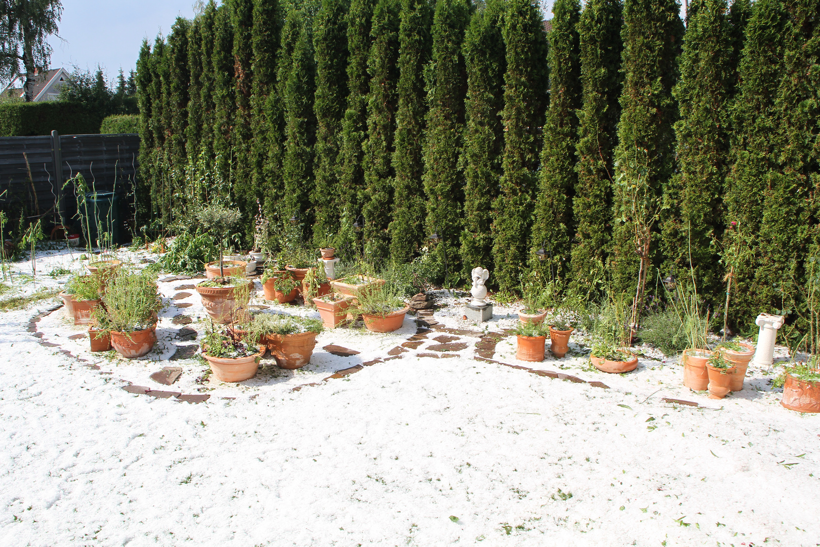 Neulich nach einem Hagelschauer. Mein Kräutergarten.