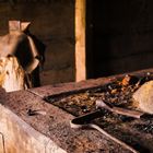 ...neulich (nach Feierabend) beim Schmied der Wikinger von Ribe (DK)