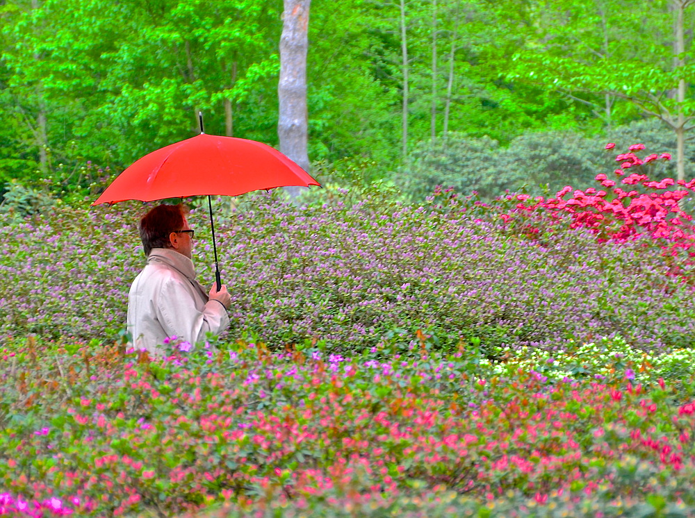 Neulich traf ich den Schirmherrn vom Rhododendronpark