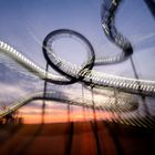 Neulich vollkommen stoned auf der Halde (Tiger &Turtle)