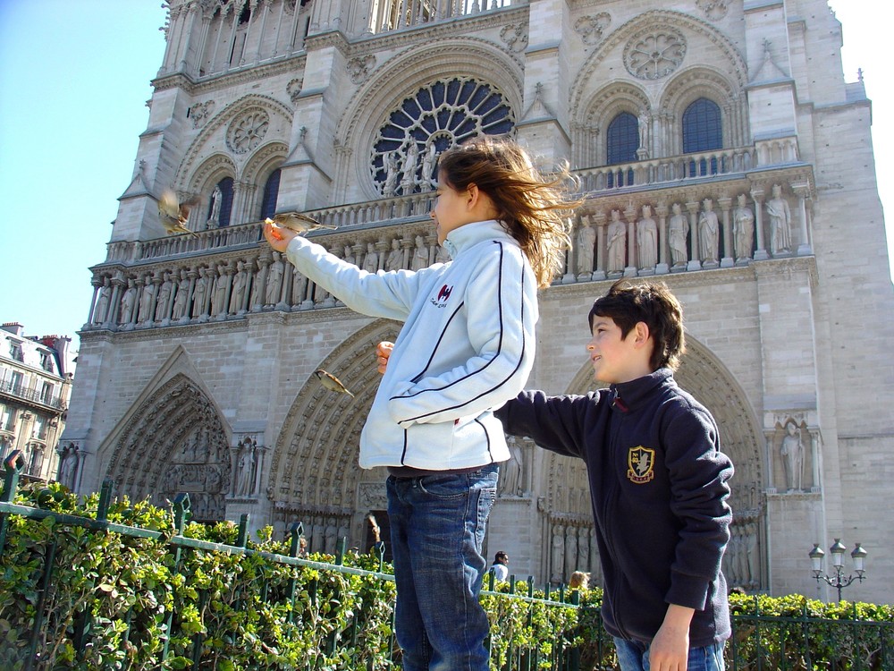 ..neulich vor Notre-Dame