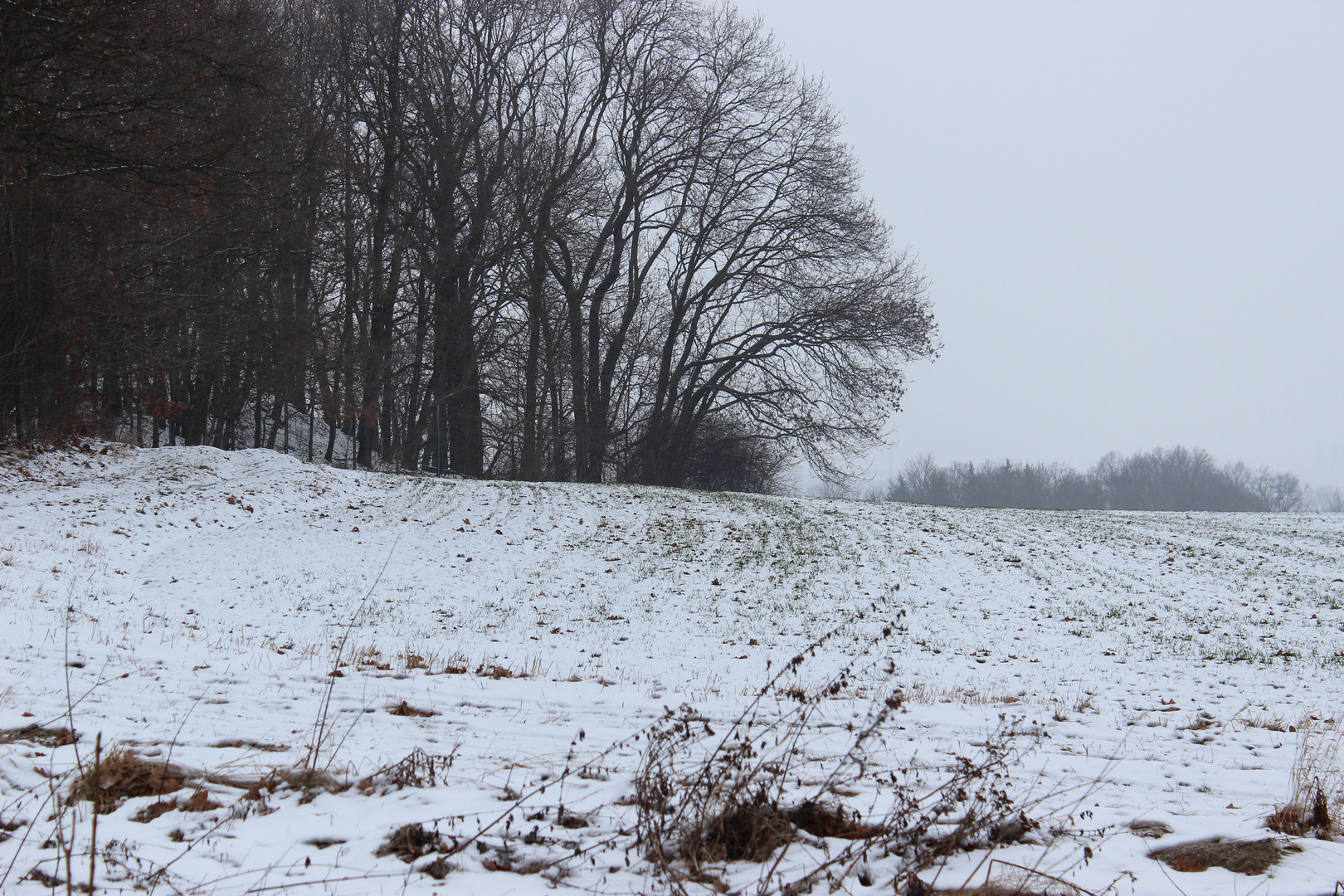 Neumark (Winterlandschaft)