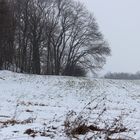 Neumark (Winterlandschaft)