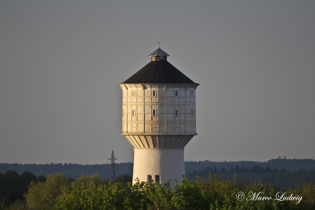 Neumünsters Wasserturm im Grünen