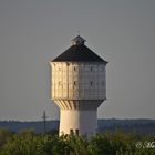 Neumünsters Wasserturm im Grünen