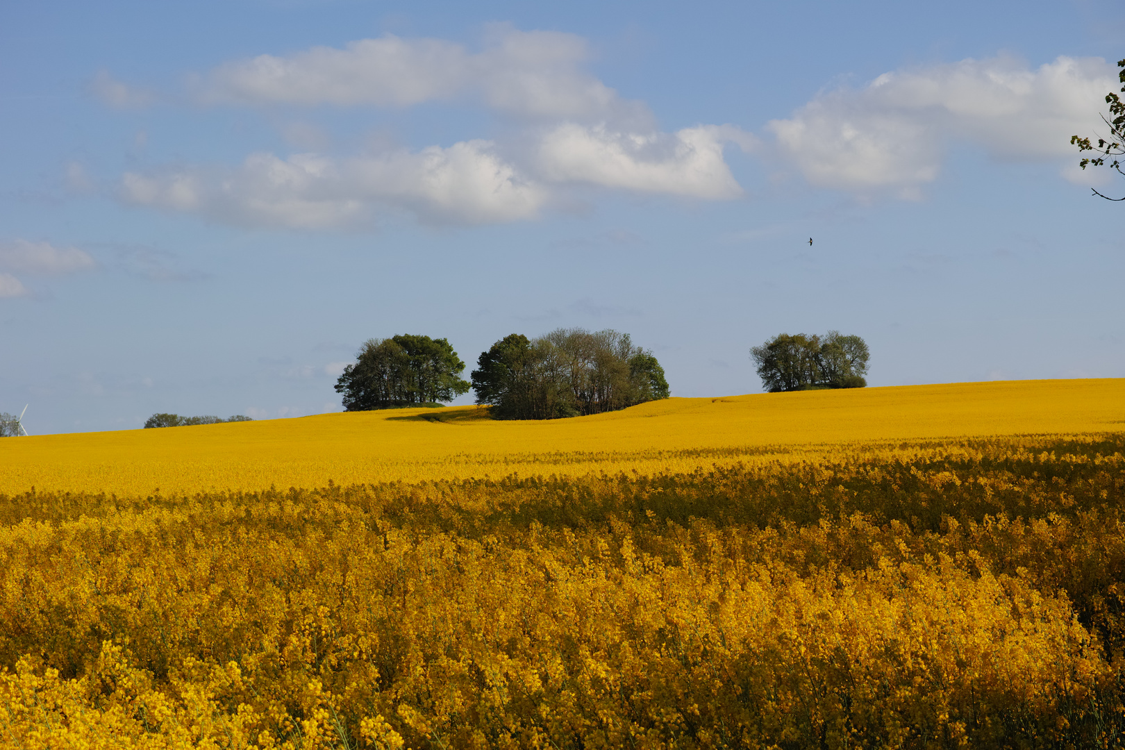 "Neun Berge"