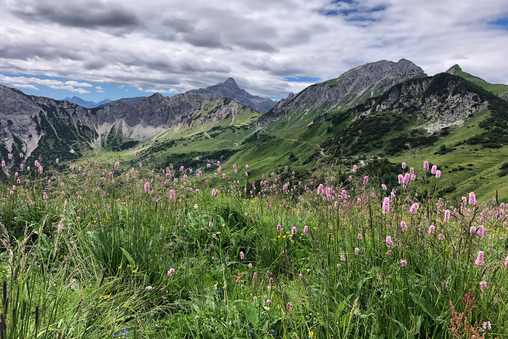 Neunerköpfle im Sommer