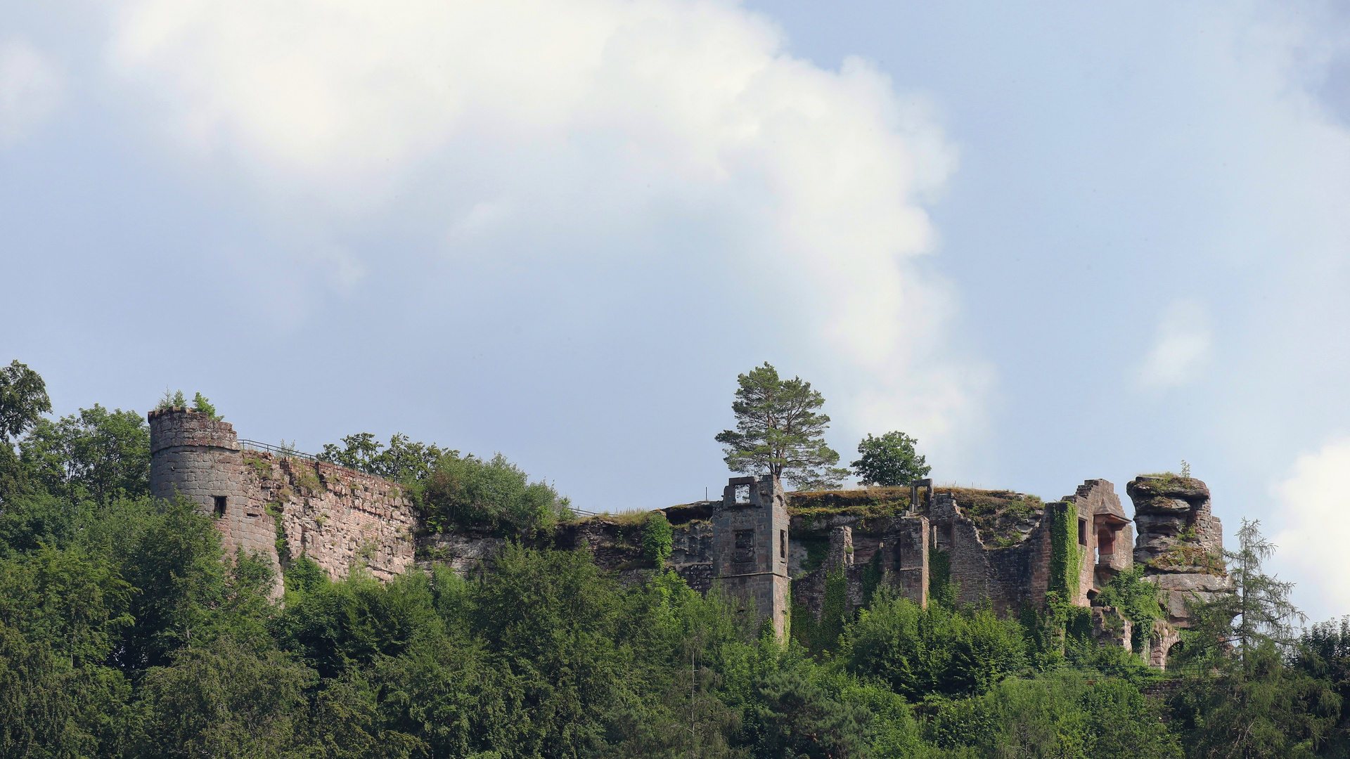 Neuscharfeneck über Ramberg (2020_06_27_0679_ji)