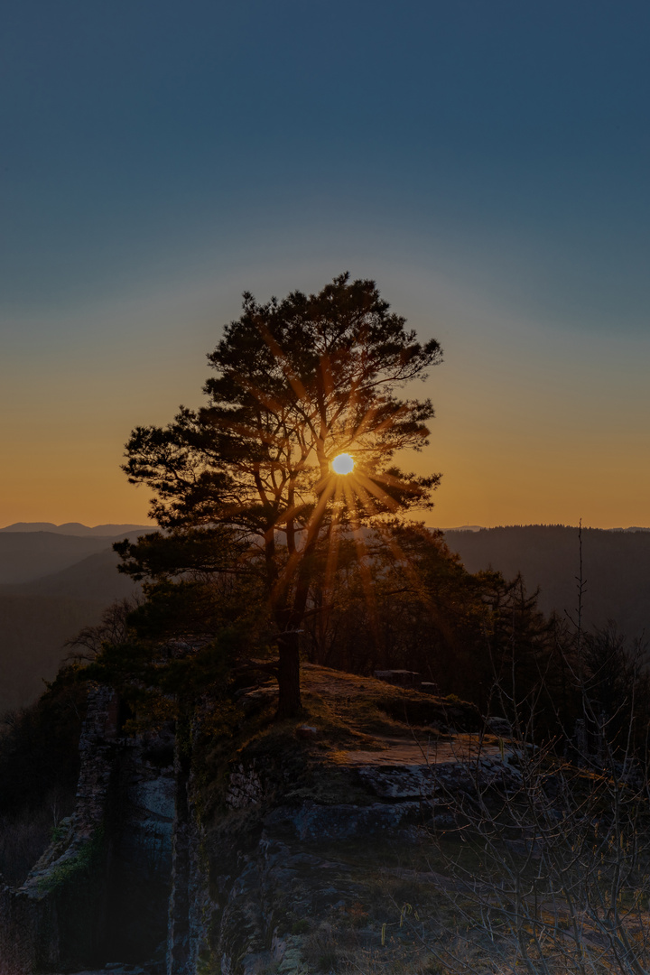 Neuscharfeneck_Sonnenuntergang