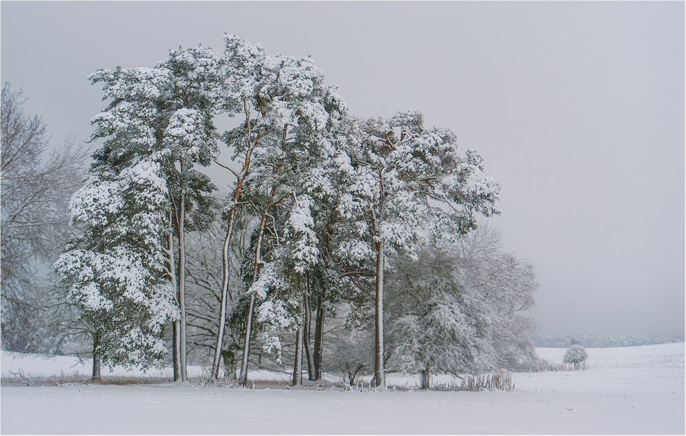 Neuschnee