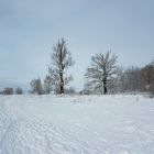 Neuschnee 1