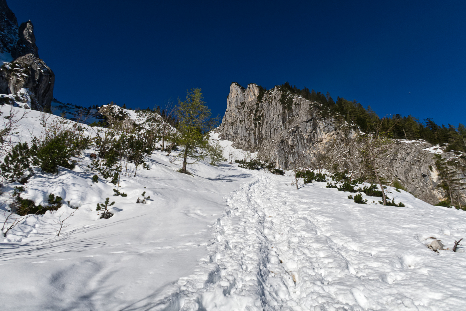 Neuschnee