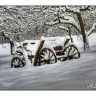 Neuschnee #2 (HDR)