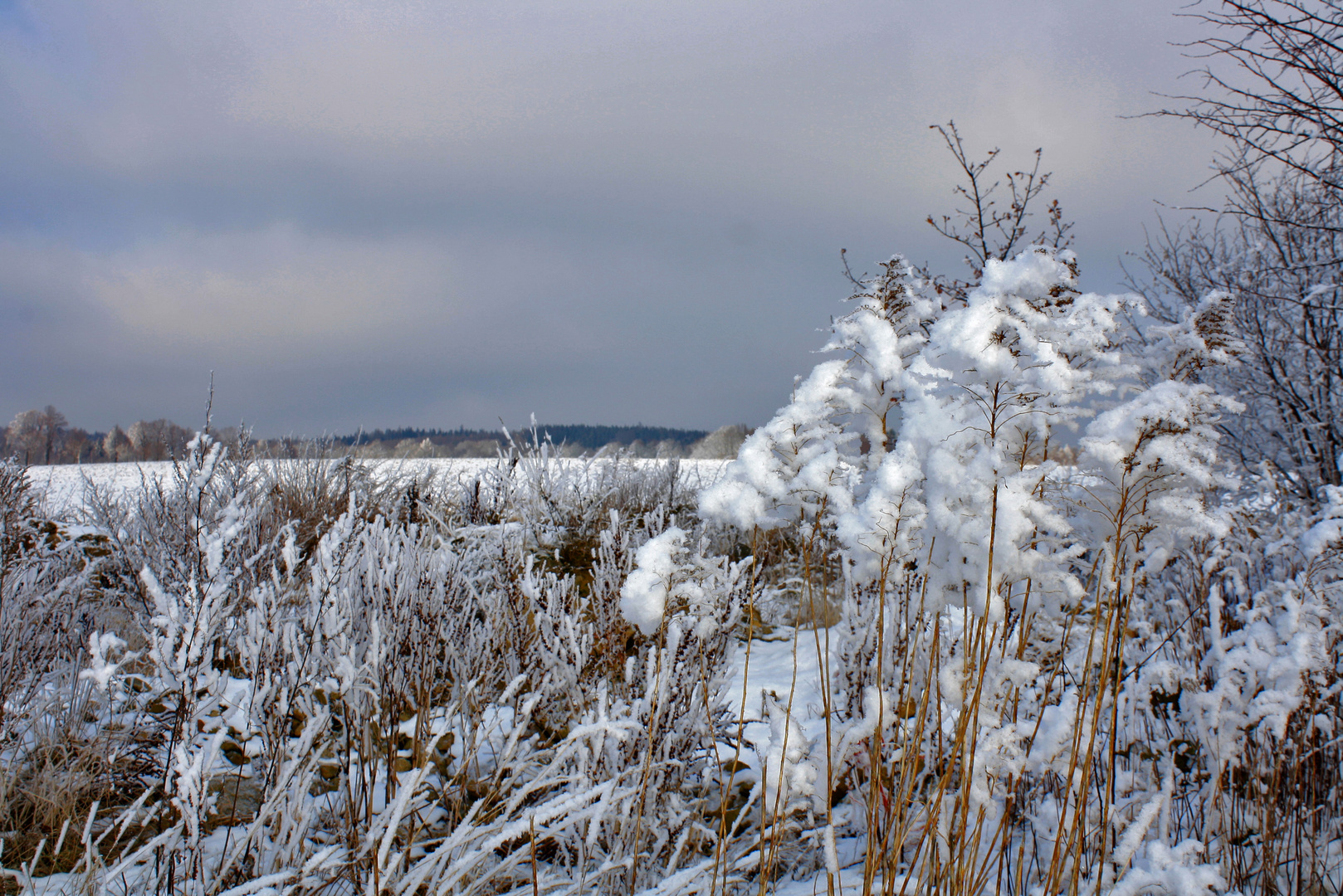 neuschnee