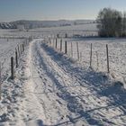 Neuschnee