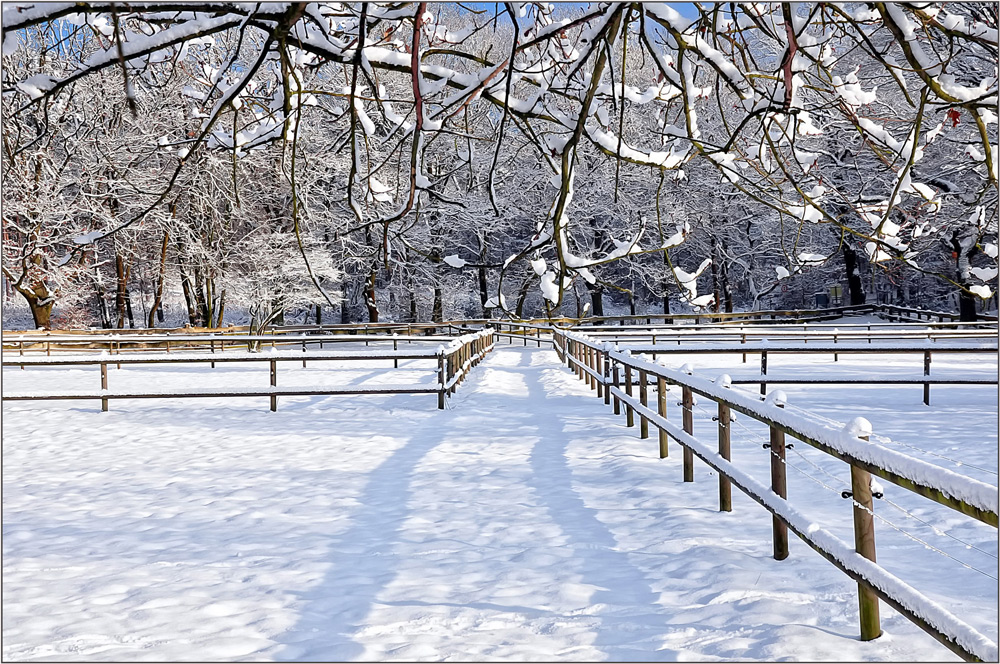 Neuschnee ...