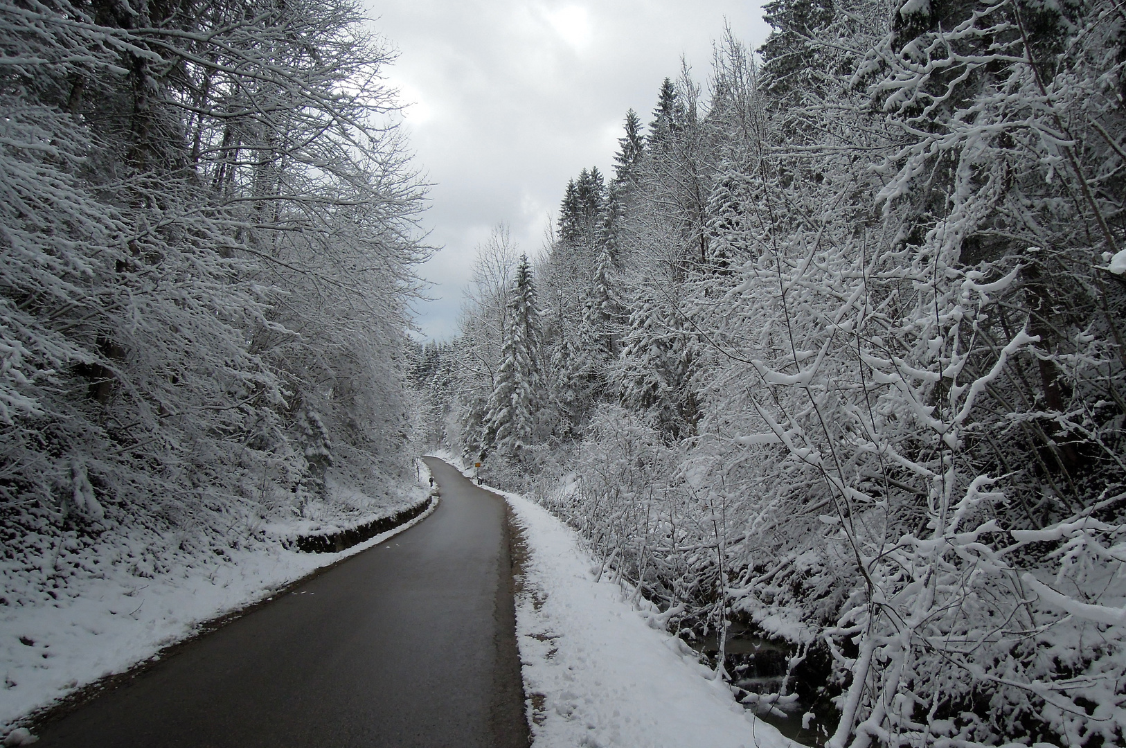 Neuschnee am 1.4.12