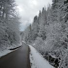 Neuschnee am 1.4.12