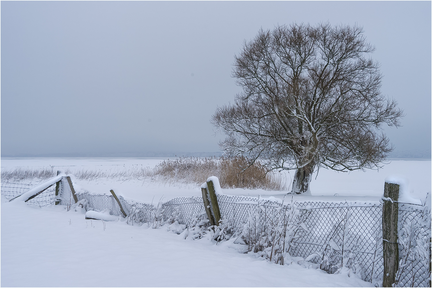 Neuschnee am Grimnitzsee