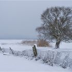 Neuschnee am Grimnitzsee