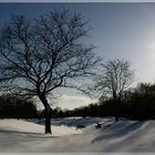 Neuschnee am Sportplatz