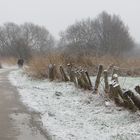 Neuschnee am Valentinstag