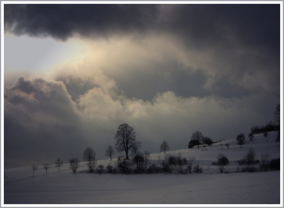 Neuschnee auf der Alb